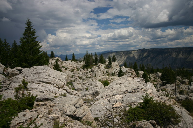 Yellowstone 254