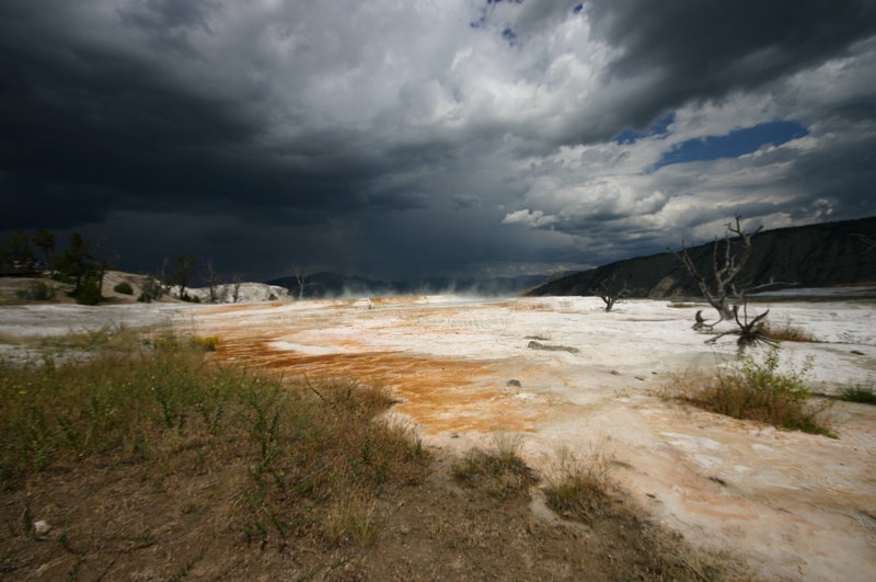 Yellowstone 277