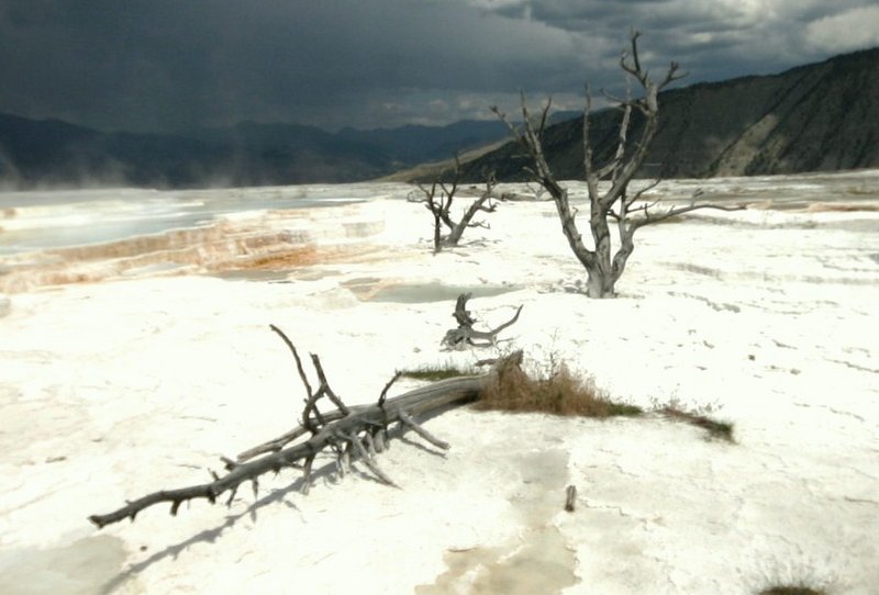 Yellowstone 278