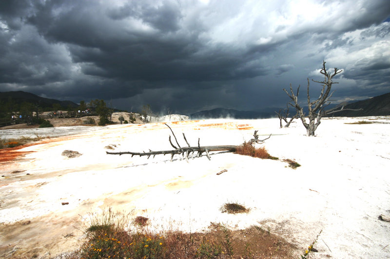 Yellowstone 281