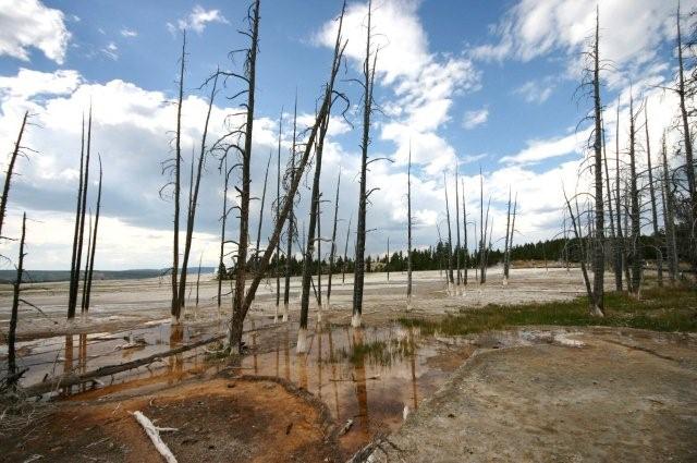Yellowstone 352