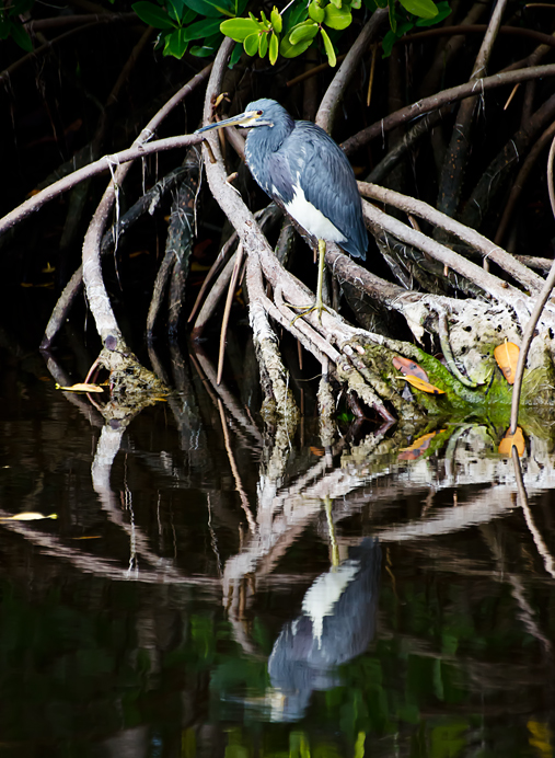 DSC_6366-Edit1
