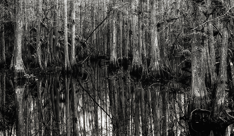 DSC_4926-Edit5