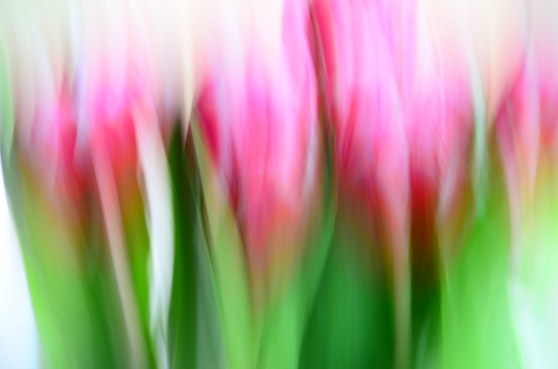 DSC_5571-Edit1