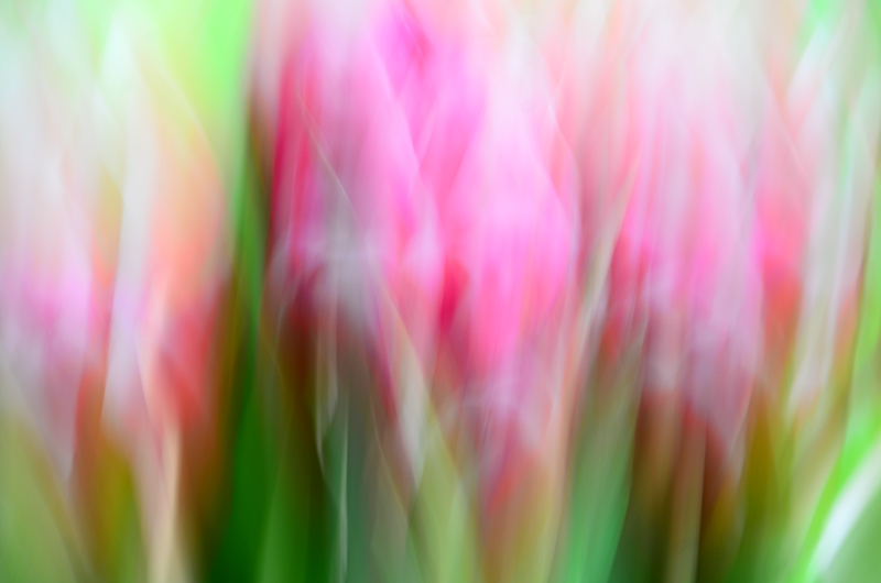 DSC_5592-Edit1