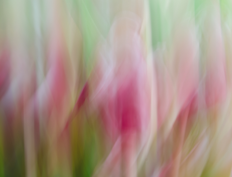 DSC_6182-Edit1