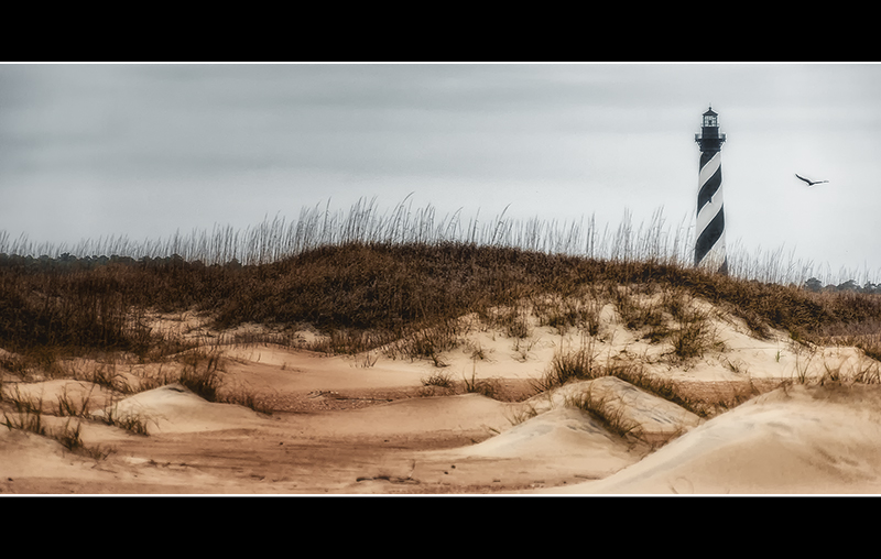 DSC_8864-Edit-Edit-2a