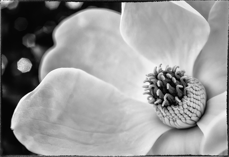 DSC_5591-1
