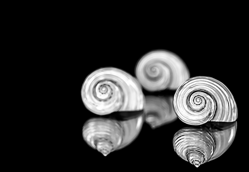 DSC_6436-1