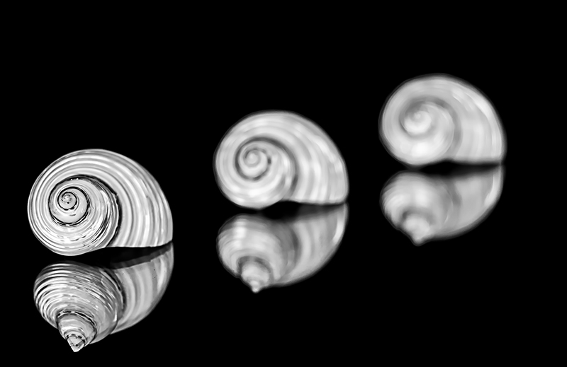 DSC_6444-1