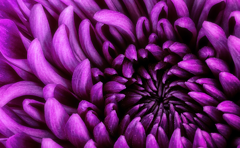 DSC_8928-1
