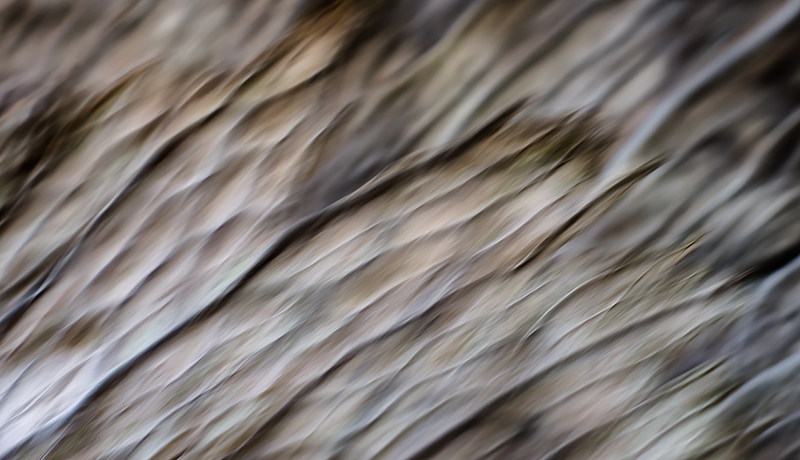 DSC_0008-1-Edit