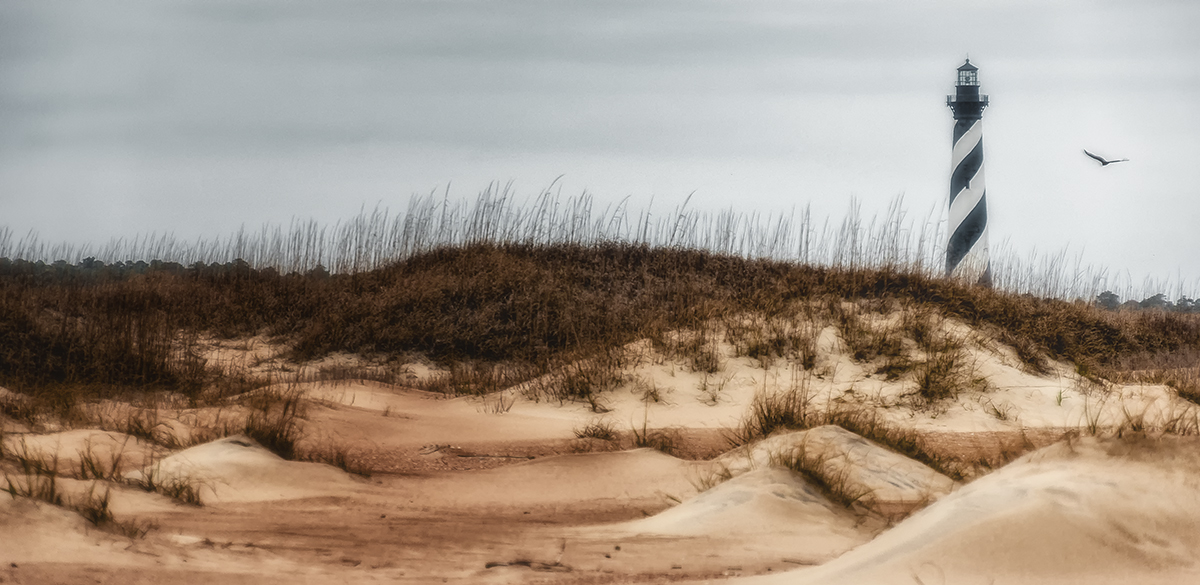 DSC_8864-3b