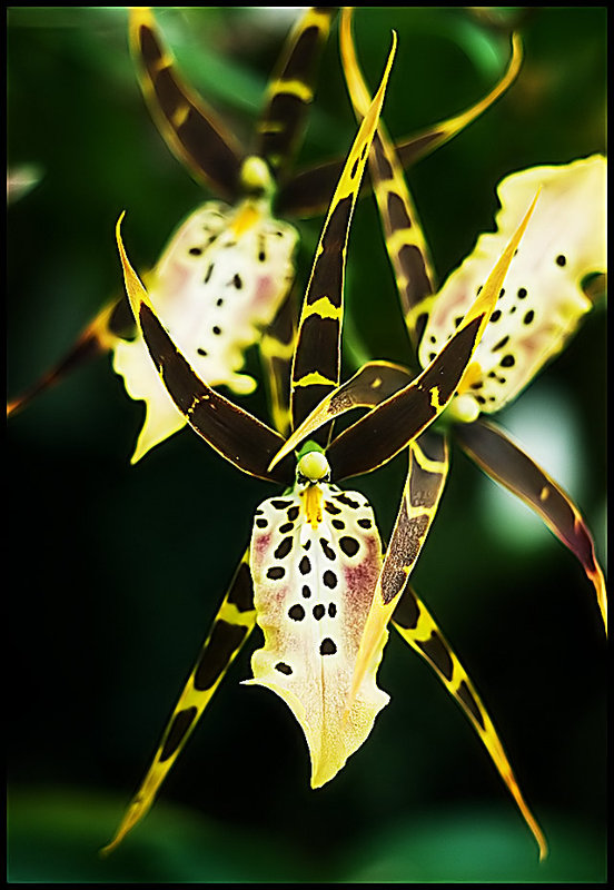DSC_0016_edited-2.jpg