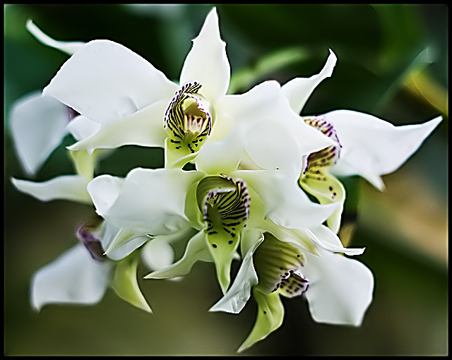 DSC_0001_edited-2.jpg
