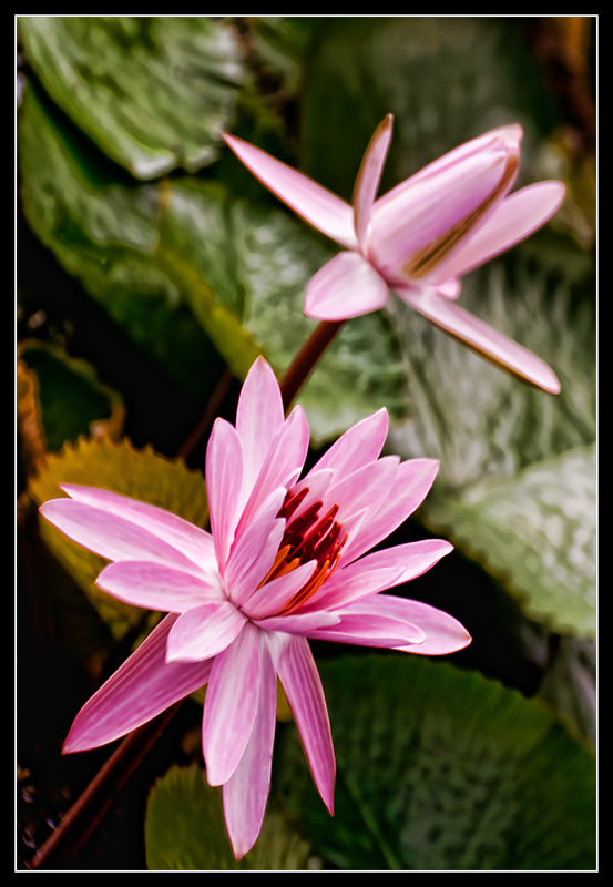 DSC_5226_edited-2