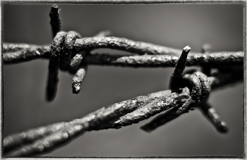 DSC_0318-Edit-Edit-Edit1