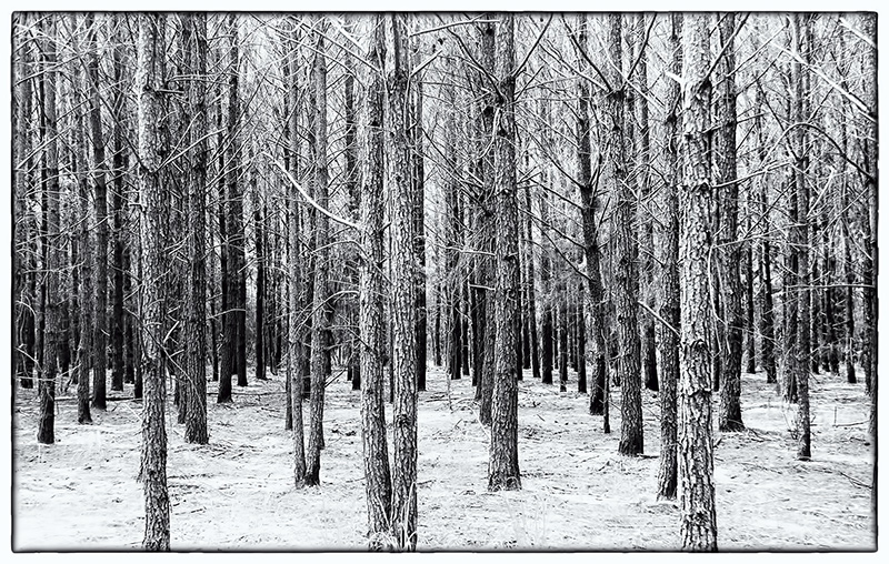 DSC_0754-Edit-Edit