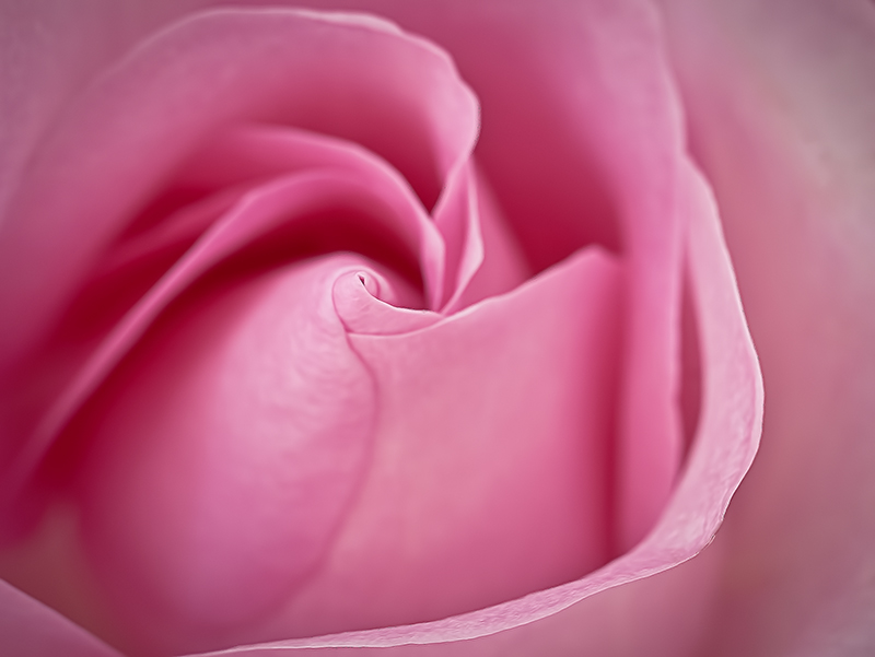 DSC_3582-Edit1