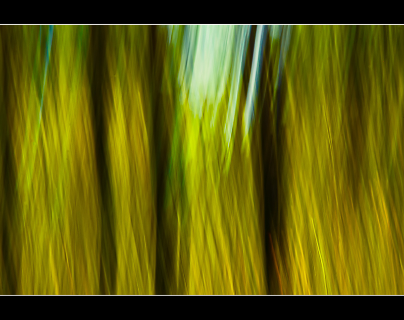 DSC_6353-Edit1