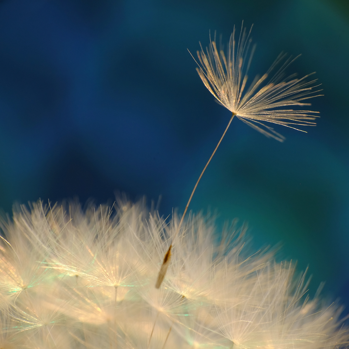 DSCF0882