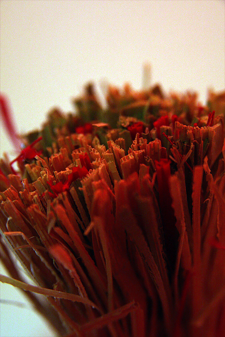 Macro 1