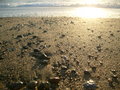 Water recedes