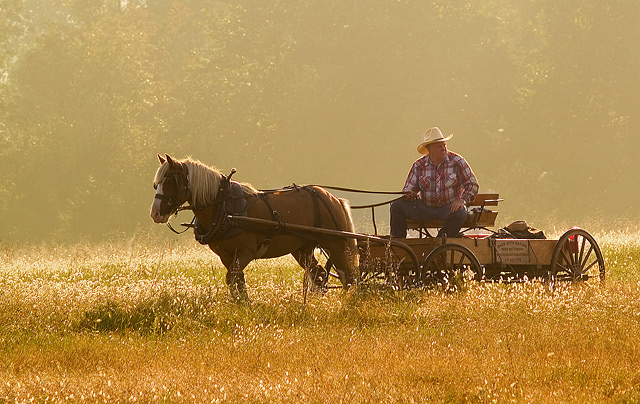 Early morning wagon ride