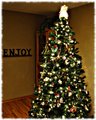 Enjoy Christmas.jpg
