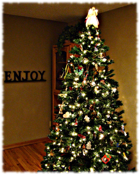 Enjoy Christmas.jpg