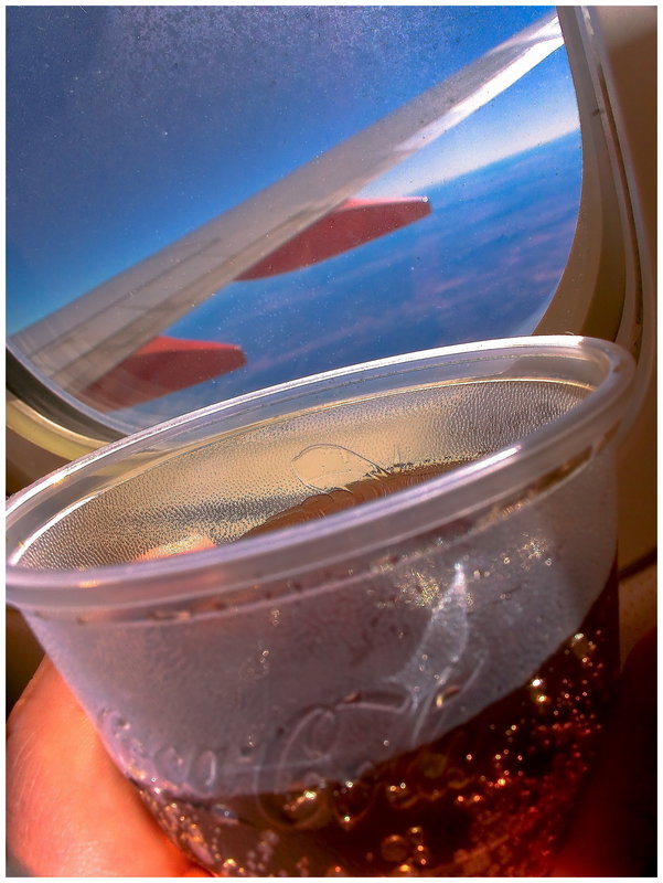 Cup