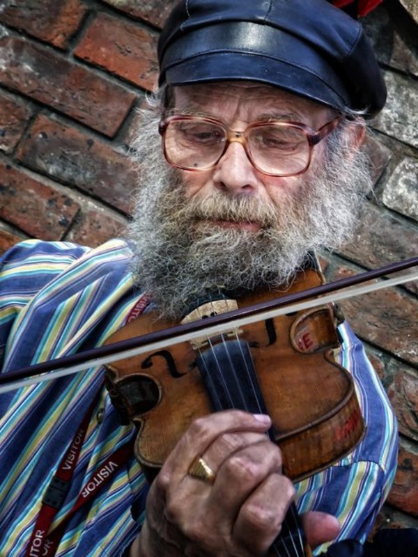 The Fiddler