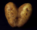 The Love Spud