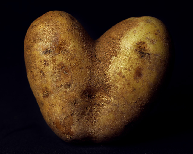 The Love Spud