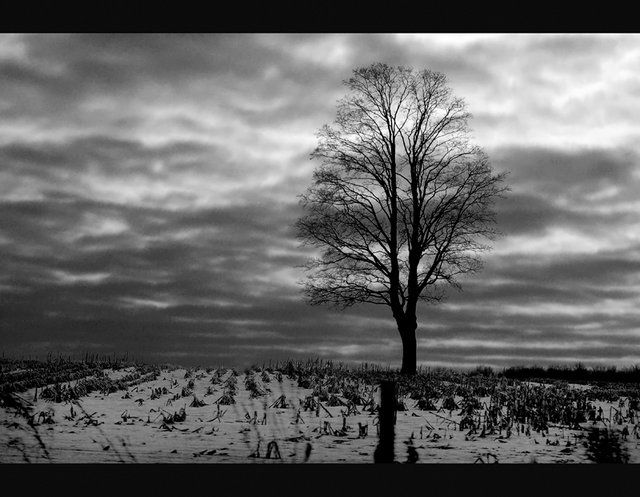 cold and alone 