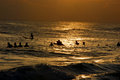 Surfing At Sunset